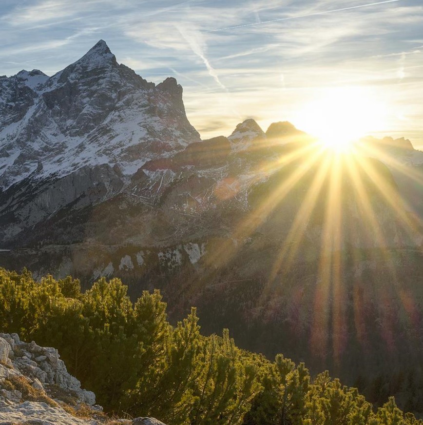 “Advancing Innovation in Residency Education: An ACGME-ABFM Collaboration” Whitepages